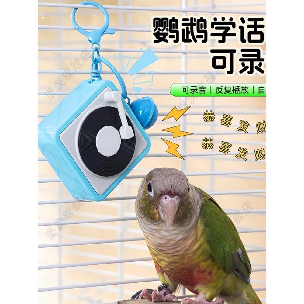 虎皮鹦鹉学说话神器小太阳八哥玄鸟训练学舌叫声复读机小喇叭教具