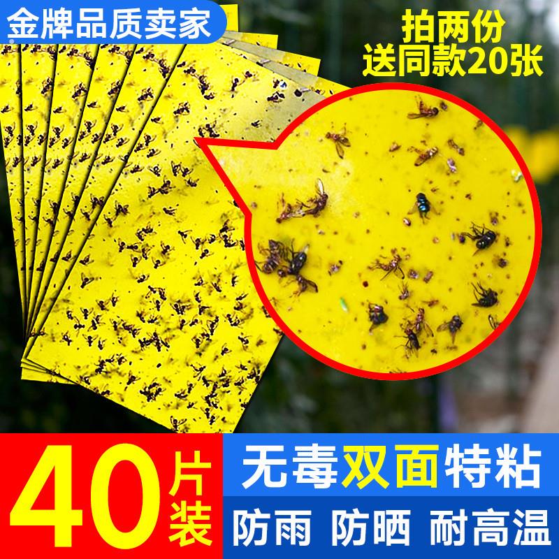 黄色粘虫板蠓虫瓜果黏纸黏虫黄纸苗圃蚊虫户外蚊子粘蝇板橘子防虫