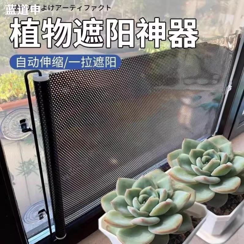 植物遮阳神器绿植多肉兰花防晒隔热罩阳台窗户遮光吸盘伸缩遮阳帘