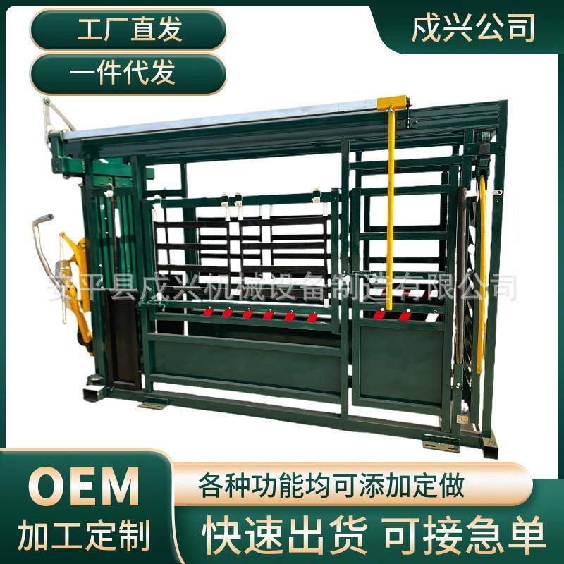 牛马保定架动物防疫通道自动宠物门大型提供指导定位栏智能防疫