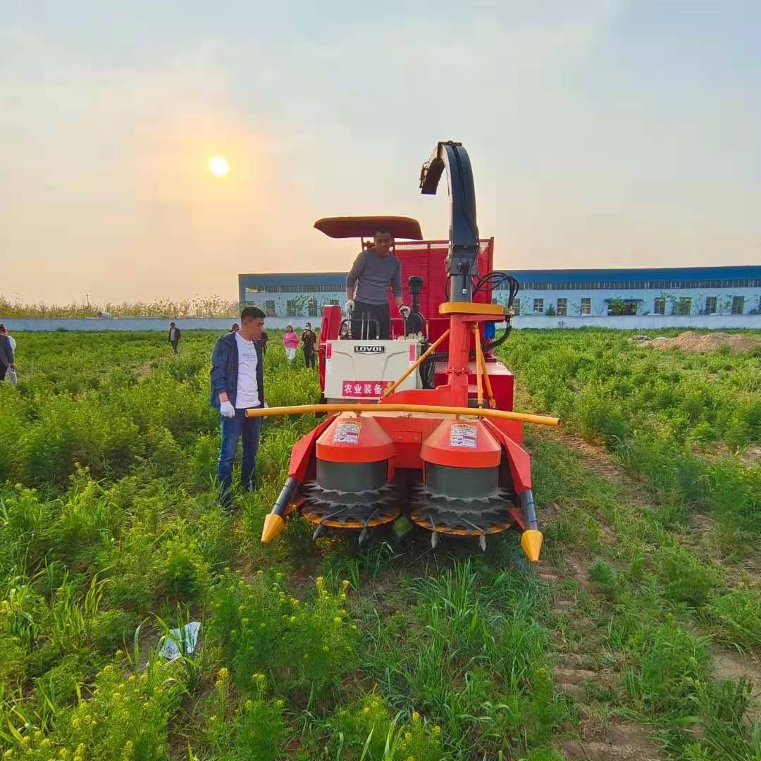 青饲料收获机玉米收割机玉米秸秆青储机高精尖玉米粉碎青储机