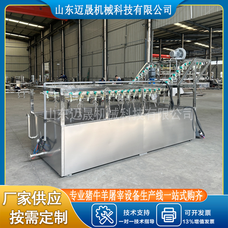 定制蒸汽烫猪头毛设备 不锈钢连续式猪头烫池 吊挂式猪头浸烫池
