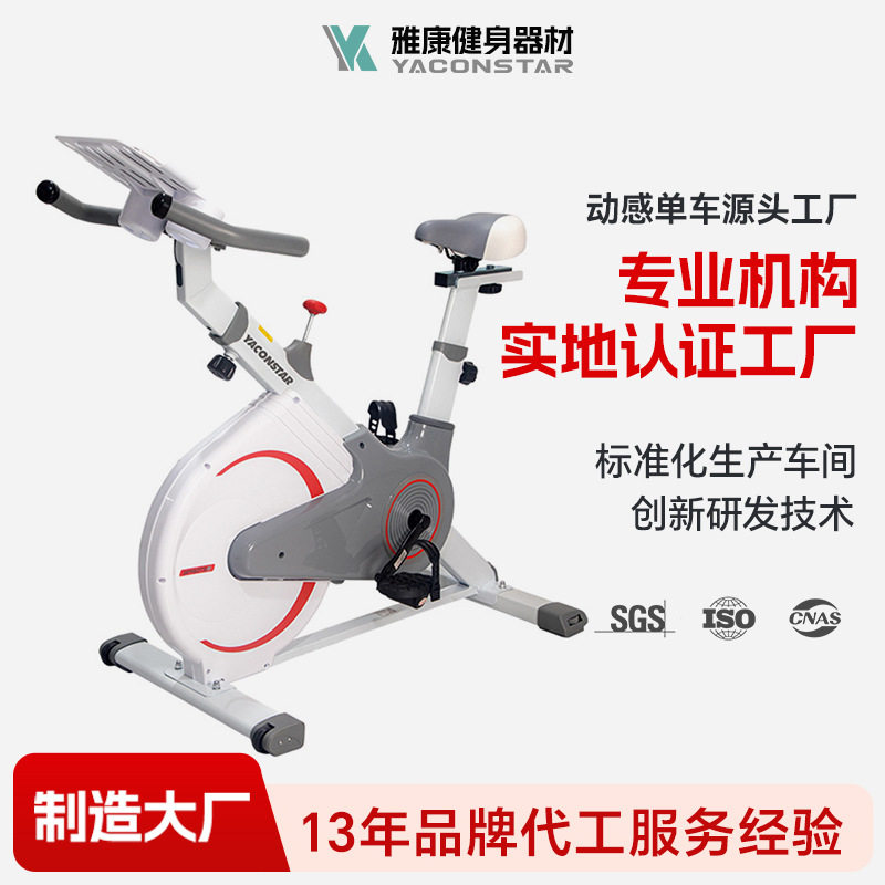 定制家用塑身动感单车室内带游戏沉浸式体验骑行卧室静音健身车