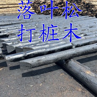 落叶松黄花松矿井支撑防汛打桩木剥皮削尖沥青油防腐处理量大包邮
