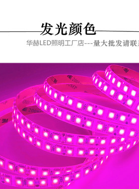 紫色led灯带粉红色紫光超亮12v软灯条家浪漫创意KTV氛围户外防水