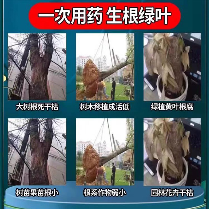 树木专用生根粉强力生根剂大树复活营养液枯树再生液扦插专用药水