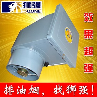 狮强S500A厨房油烟排气扇家用强力换气扇10寸窗式 静音吸抽风机