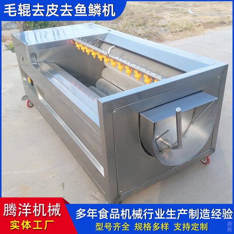 全自动螺旋毛辊清洗机药材清洗设备净菜加工机器