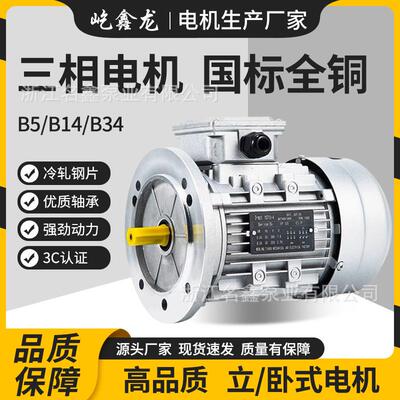 三相异步电动机高速铝壳YS370/750/1.5W2200W立式2级4级380V电机