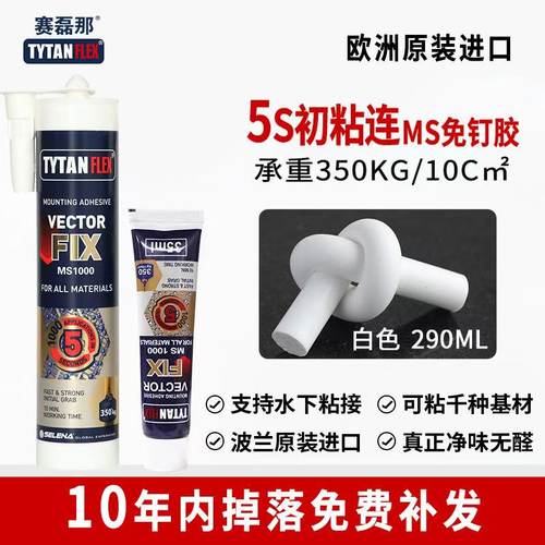 进口免钉胶水泥墙面木工卫生间