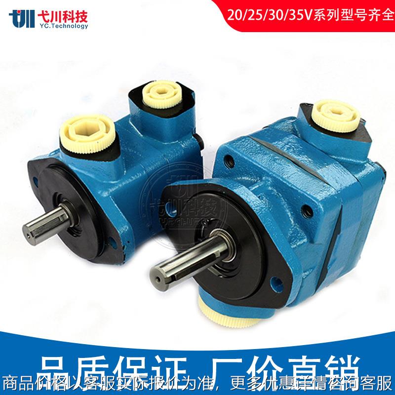 美国威格士叶片泵30V25A20V/25V/35V/45V注塑机打包机VICKERS油泵