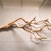 干树枝去皮树干枝壁挂装 饰枯枝酒店造景饭厅树枝挂灯花艺婚庆摆件