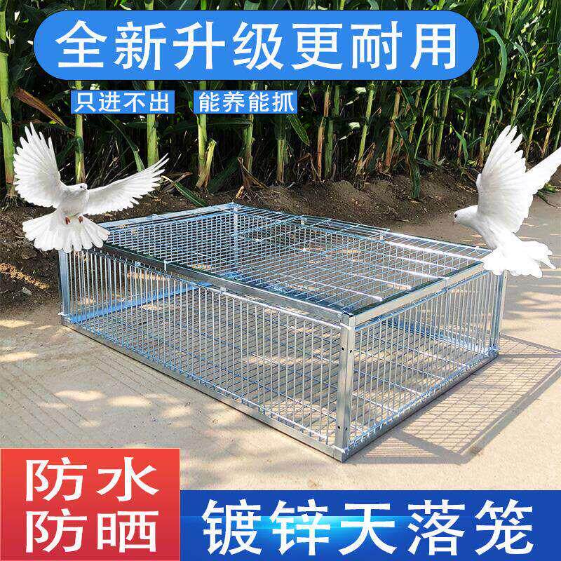 自动捕捉鸽子笼器室外天落笼新款加密祇进不出户外撞门笼全收
