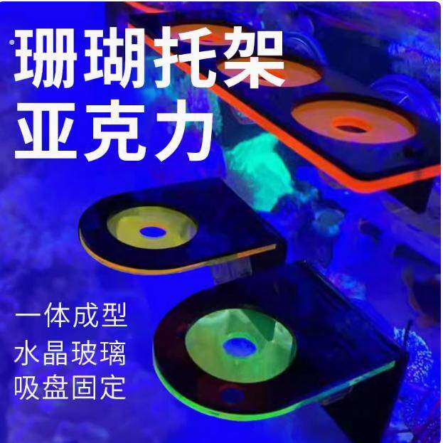 亚克力断肢支架软骨纽扣繁殖高颜值荧光发光架托盘架