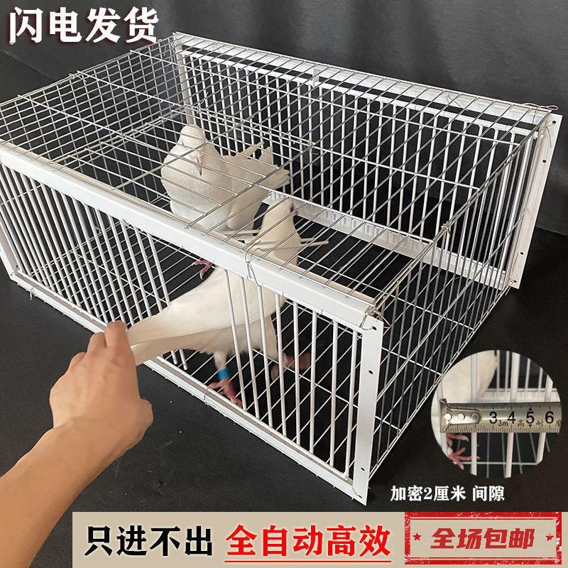 鸽子笼专用地网天落笼户外屋顶家用祇进不出撞门信鸽自动门进神器