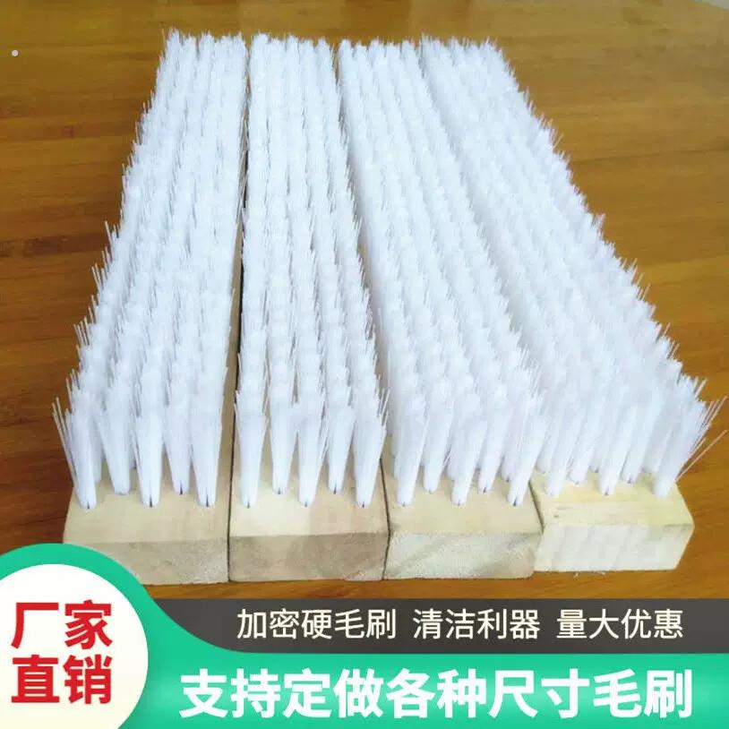 多排毛刷硬丝长毛六排塑料尼龙拉丝颗粒除水毛刷子工业硬毛刷排刷
