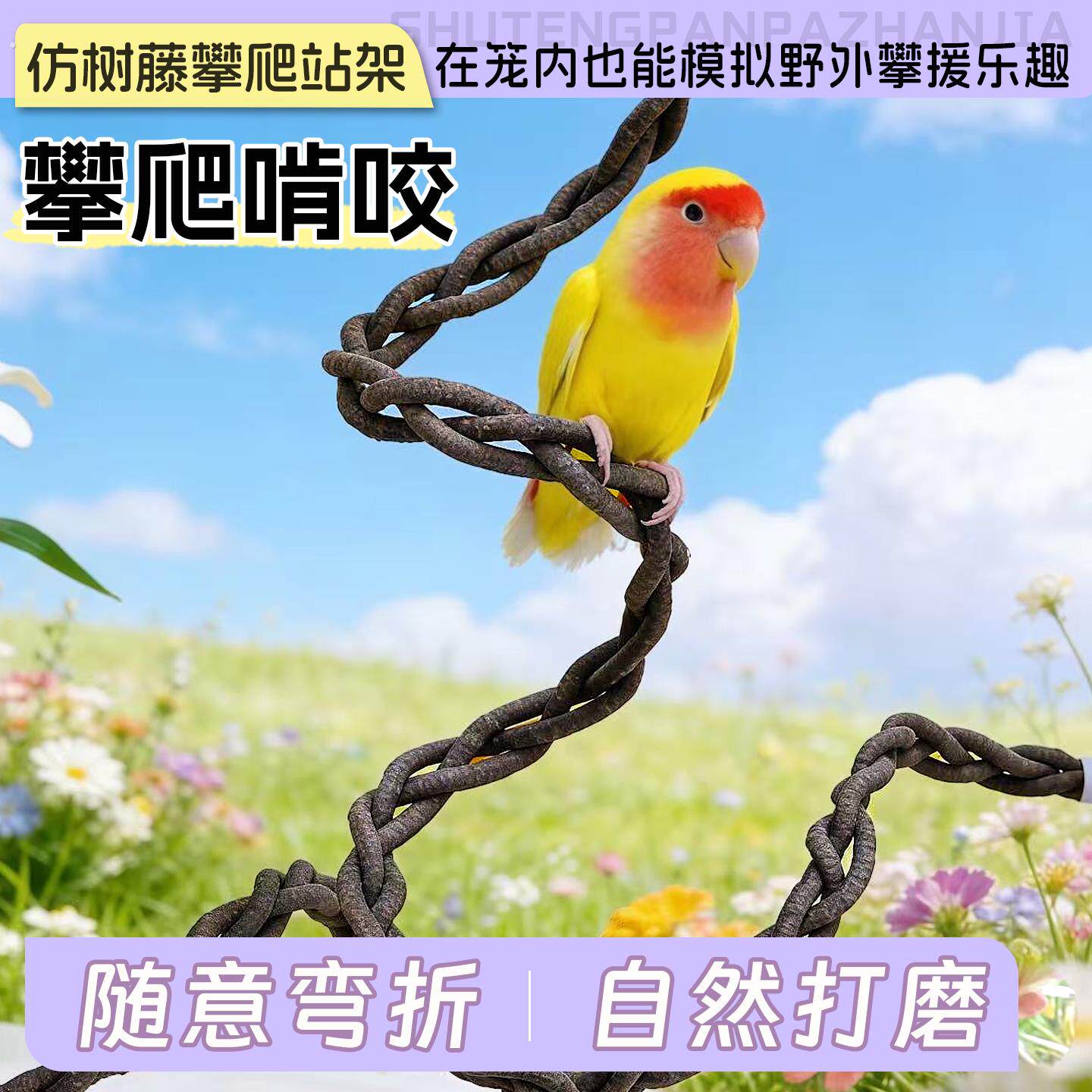 鹦鹉仿树藤站棒攀爬玩乐虎皮玄凤牡丹小太阳互动解闷站棍鸟用品
