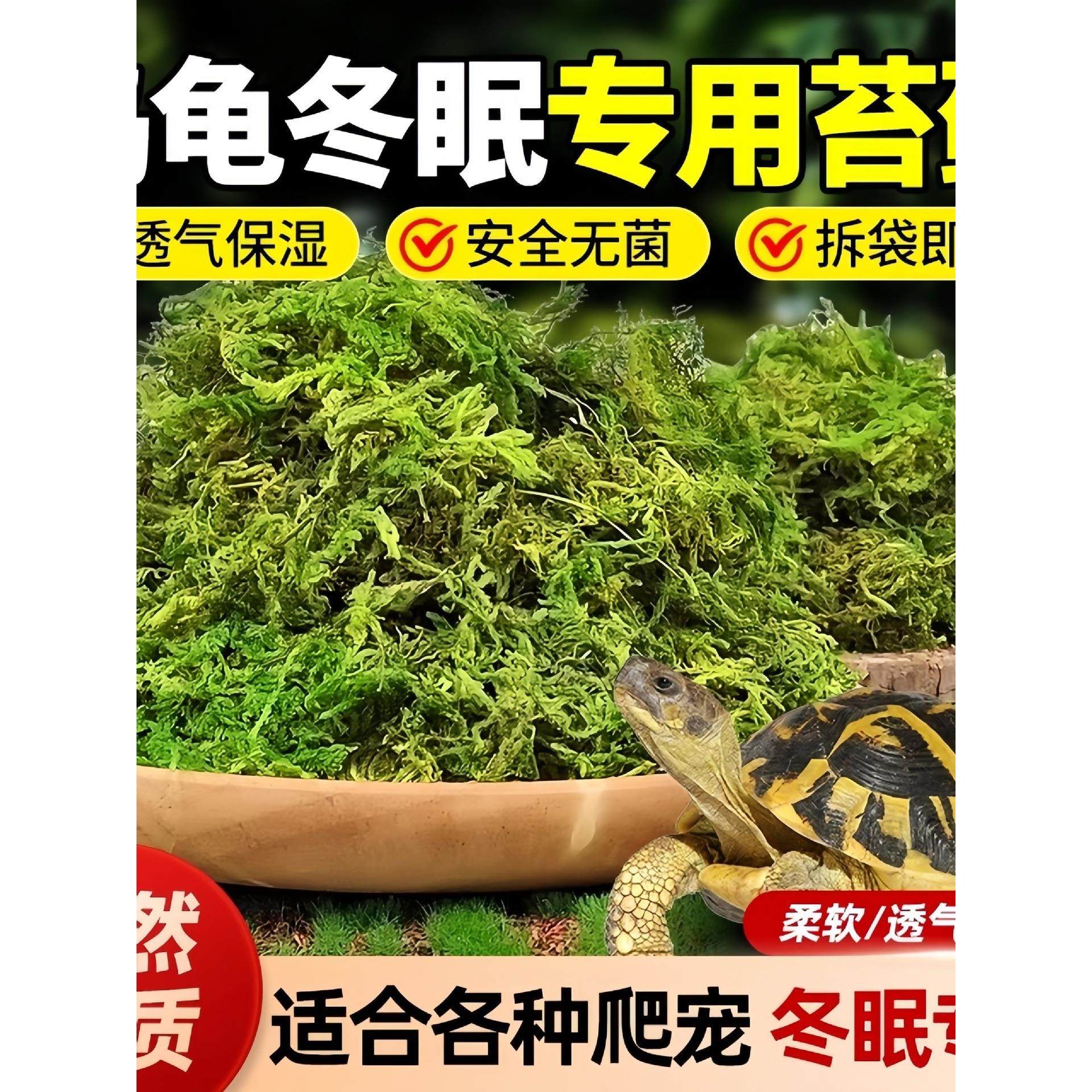 乌龟冬眠干苔藓爬宠苔藓冬眠的窝青苔智利水苔椰土椰砖土,农用物资,育苗/栽培基质,淘宝优惠券,粉丝福利购,淘宝优惠卷