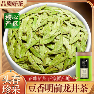 正宗龙井茶新茶明前茶浓香型绿茶豆香浓郁黄熟茶叶口粮茶罐装