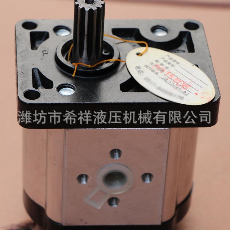 齿轮泵厂家生产CBT-F325齿轮泵各种挖掘机专用齿轮油泵