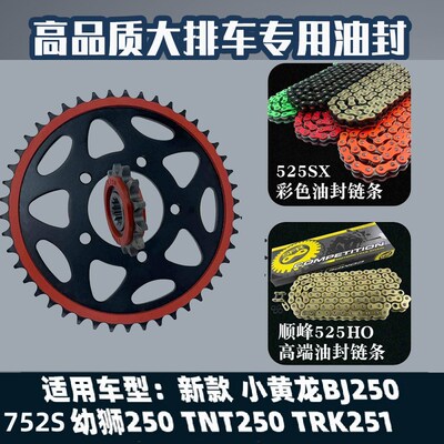 适用贝纳利小黄龙BJ250TRK幼狮250/752S新款静音牙盘油封链条套链