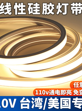 110V硅胶灯带台湾 美国led柔性软灯条户外防水线条灯嵌入式线形灯