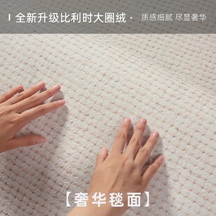 轻奢高级感沙发垫房间地毯卧室家用地毯免洗可擦 地毯客厅2024新款