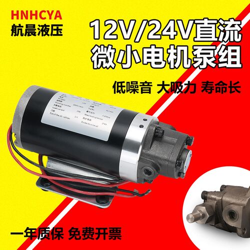 小型直流专用电机油泵DC12V/24V 12A13A齿轮油泵电动摆线泵三角泵