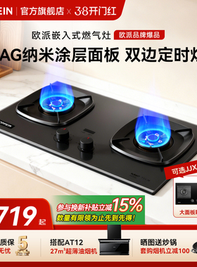 欧派(OPPEIN)大火力燃气灶台家用双灶天然气煤气OPP-JJX64