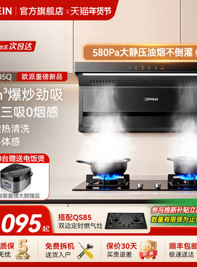 欧派(OPPEIN)抽油烟机24m³家用顶侧双吸油烟机燃气灶烟灶套装205