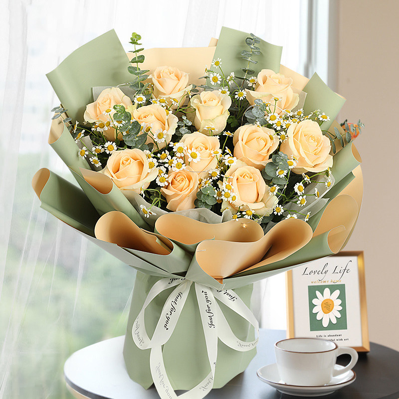 惠惠的花园 花切花月季蜜桃雪香槟色玫瑰庭院阳台盆栽