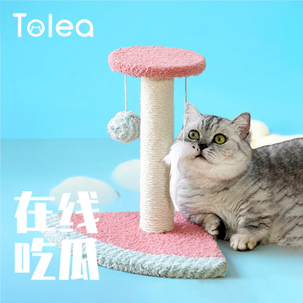 Tolea/二狸小型猫爬架猫抓柱一体迷你猫架子幼猫玩具小户型不占地