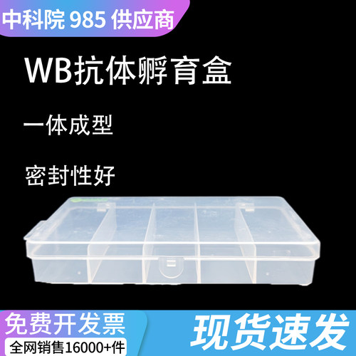 抗体孵育盒wb抗体孵育