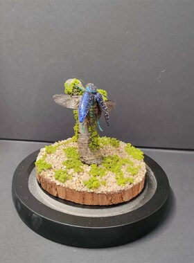 马达加斯加宝石吉丁森林力士甲虫长牙标本昆虫小众男士礼物玻璃罩