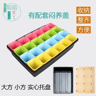 多肉育苗盆小黑方小彩方托盘接水盘大方实心育苗盘盖子叶插种植盆