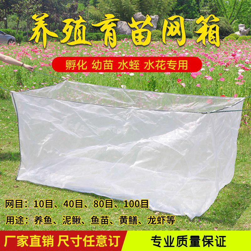 80目养殖网箱黄鳝泥鳅水蛭催产孵卵用专用网箱育苗用网箱