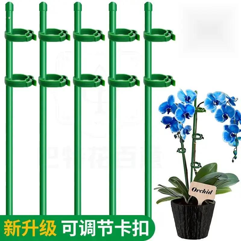 植物支撑杆花架朱顶红防倒伏支架园艺吊兰月季番茄架子绿植爬藤架