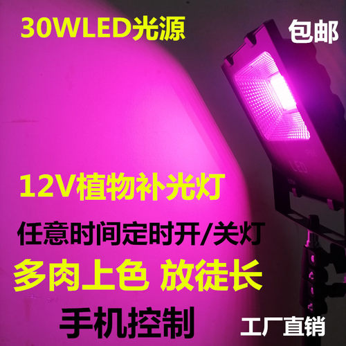全光谱多肉植物补光灯可定时12VLED大功率生长灯室内花卉生长灯