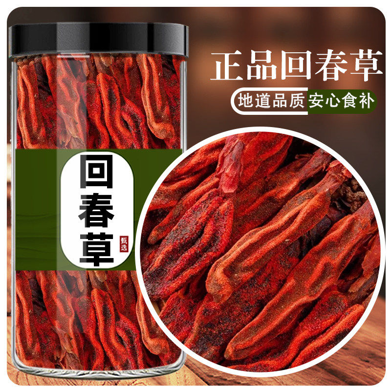 回春草云南野生新货正品回春草新鲜不老草茴春草男性泡茶泡酒料