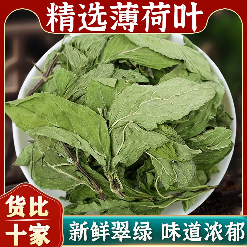 精选薄荷叶中药材无熏硫干薄荷叶茶无添加夏季清凉泡茶泡水喝新鲜