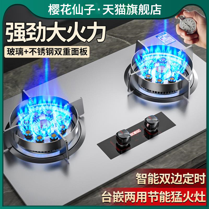 美の的仙子燃气灶双家用天