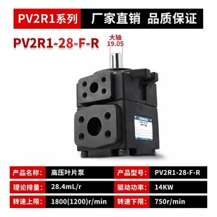 高压叶片泵PV2R1定量液压泵总成PV2R2鸿泰单双联油泵泵头配件大全