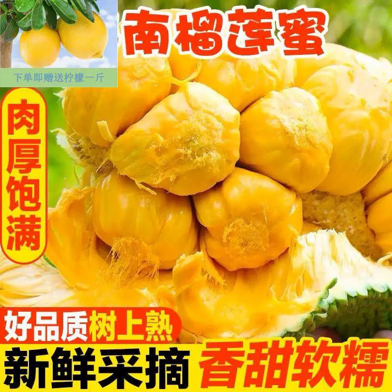 版纳榴莲蜜应季热带新鲜水果手撕菠萝蜜