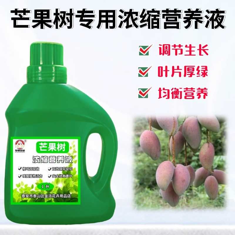 芒果树苗专用浓缩营养液桂七红贵妃芒果矮化盆地栽植物促果树肥料