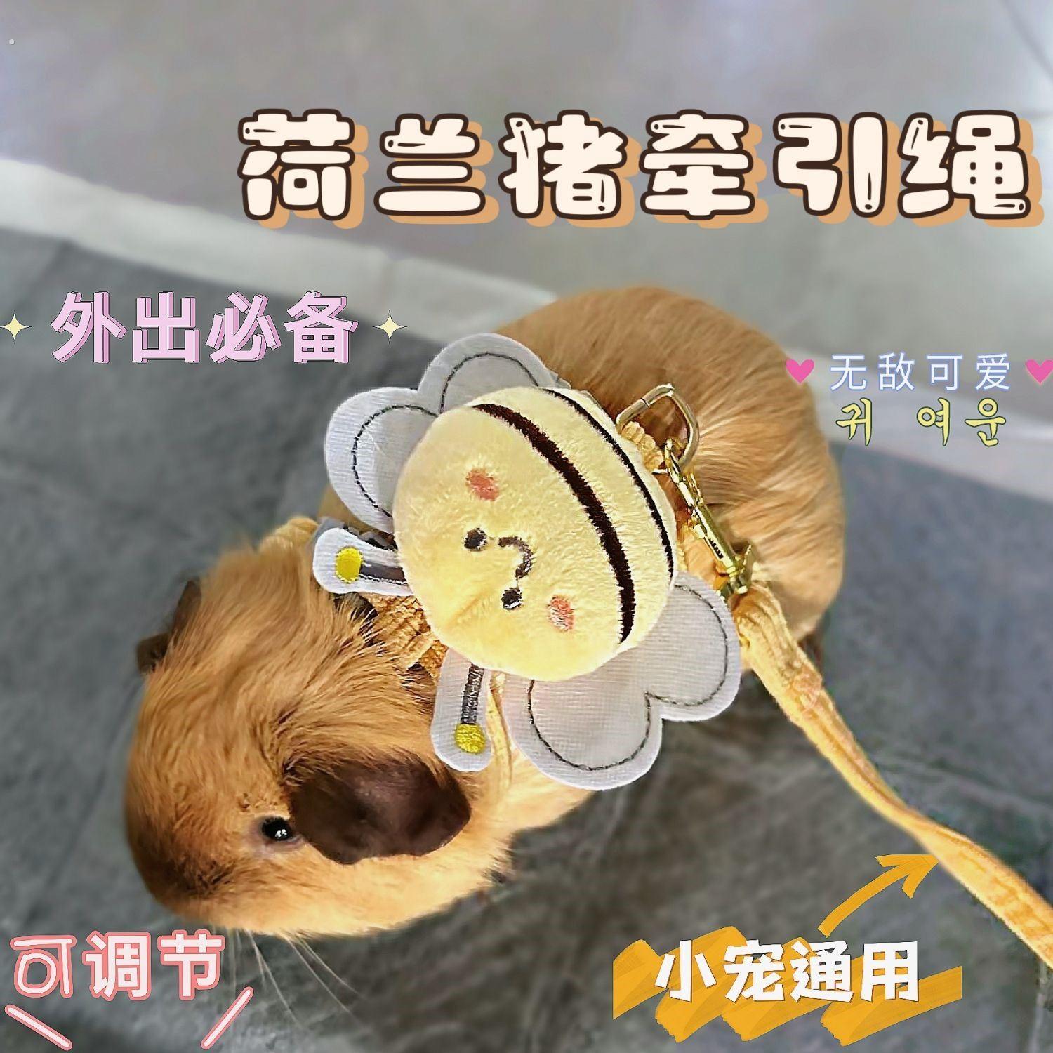 荷兰猪牵引绳A豚鼠天竺鼠侏儒兔龙猫外出专用遛绳超小可调小宠通