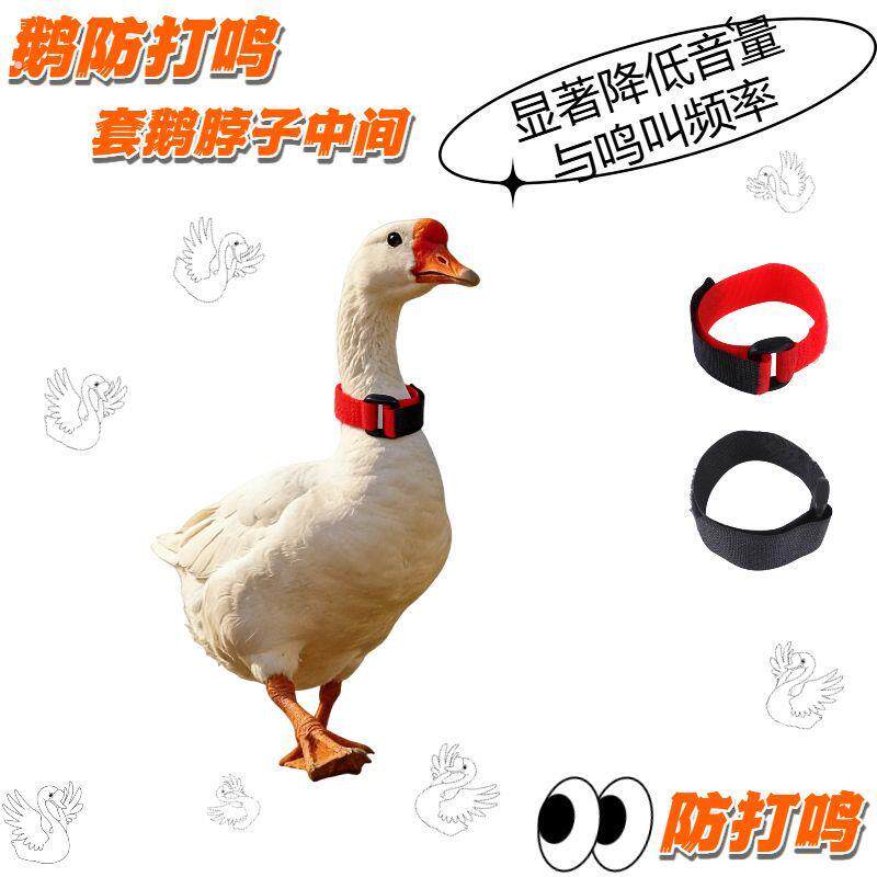 鸭鹅公鸡防打鸣颈圈止鸣神器杜绝引吭高鸣静音不扰民有效防鸣