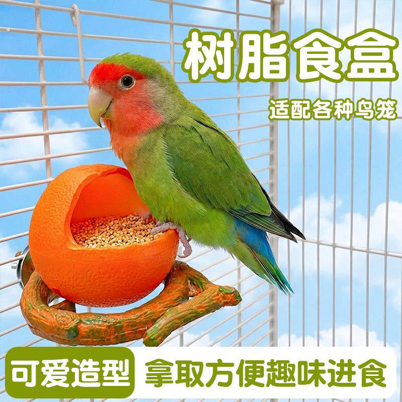 鸟用喂食器虎皮鹦鹉下料器用品用具牡丹鹦鹉水防撒果食盒食槽防溅