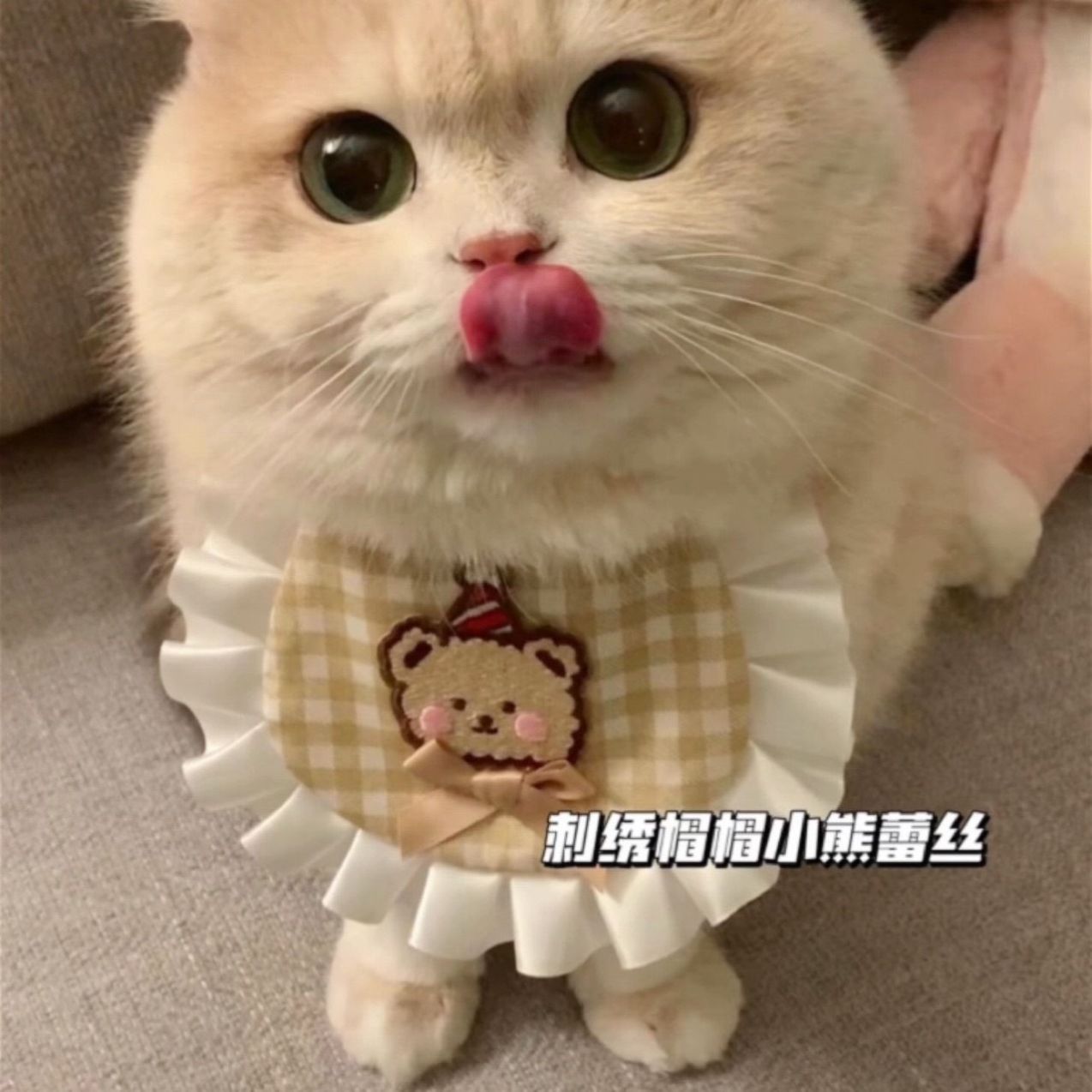 猫咪围脖口水狗狗宠物布艺围兜手工编织装饰可爱饰品项圈蕾丝
