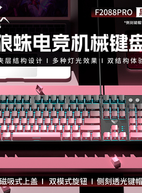 狼蛛F2088Pro 有线电竞机械键盘台式电脑办公108键鼠套装青红茶轴