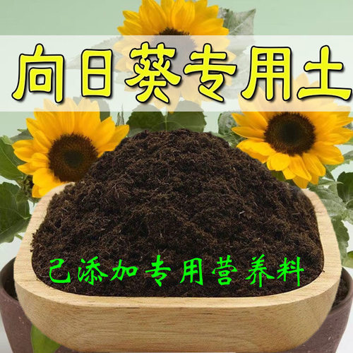 向日葵营养土通用养花种绿植发酵育苗土蔬菜盆栽有机透气增肥疏松